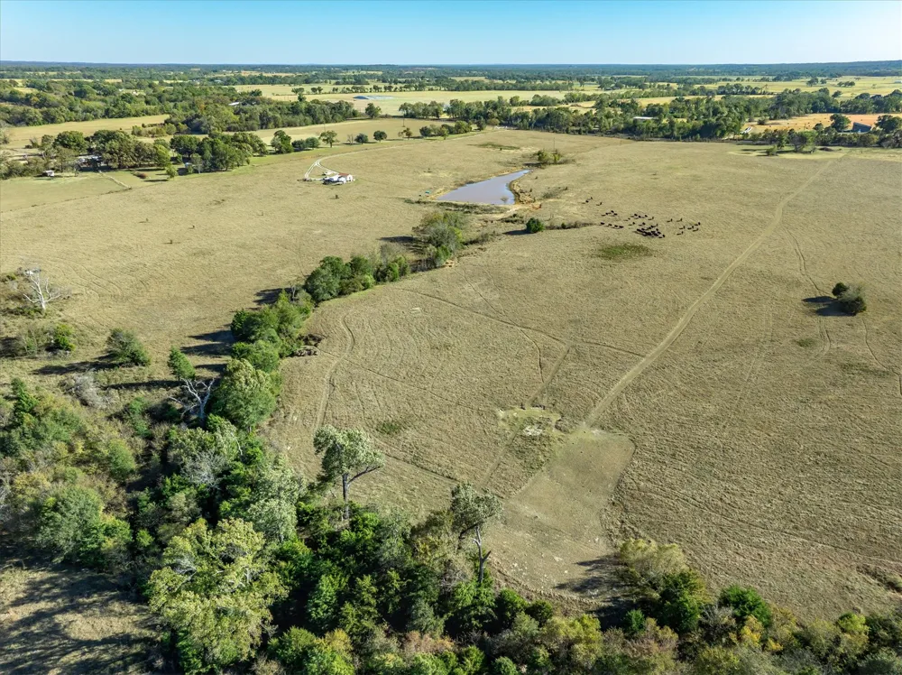 Fm 1651 Canton, TX 75103