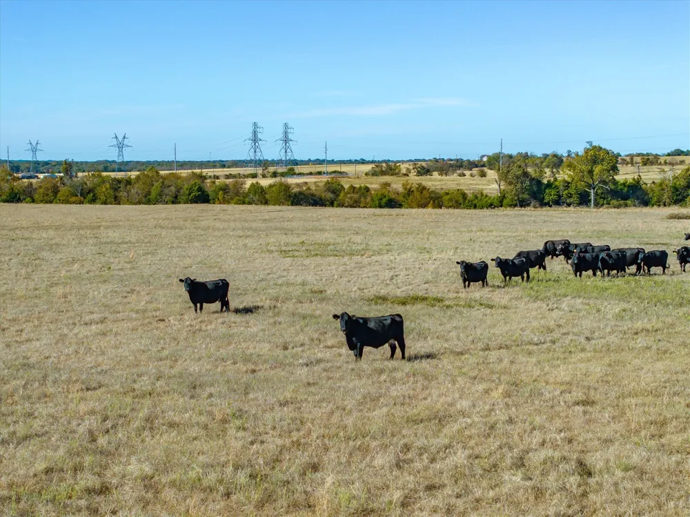 Fm 1651 Canton, TX 75103