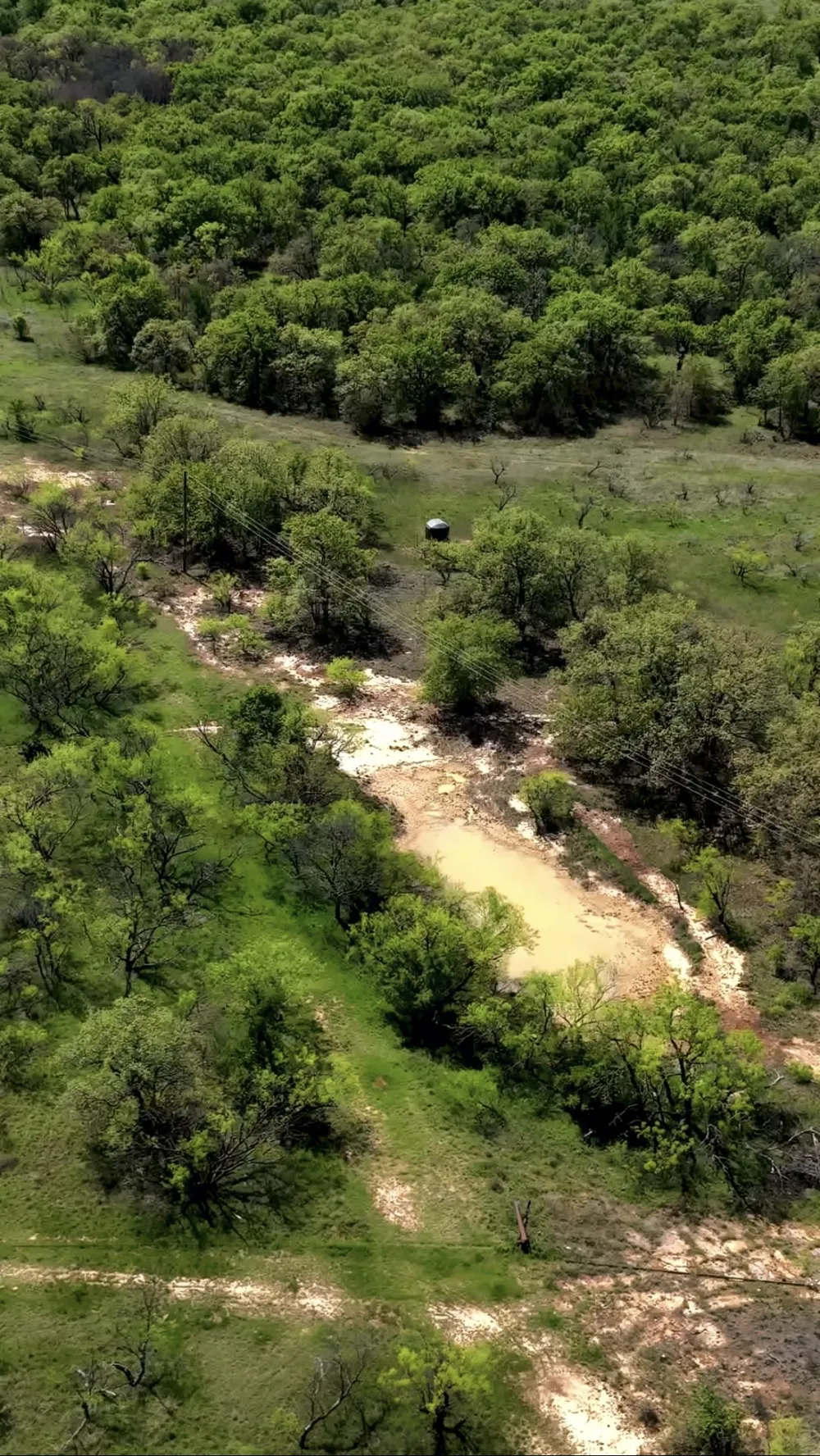163 Campbell Lane Jacksboro, TX 76458