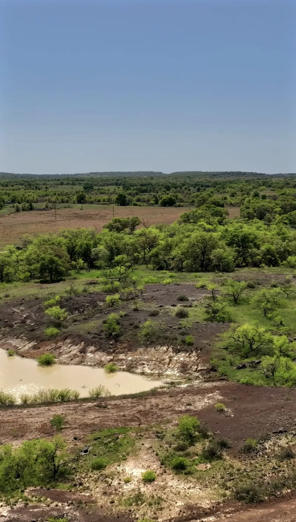 163 Campbell Lane Jacksboro, TX 76458