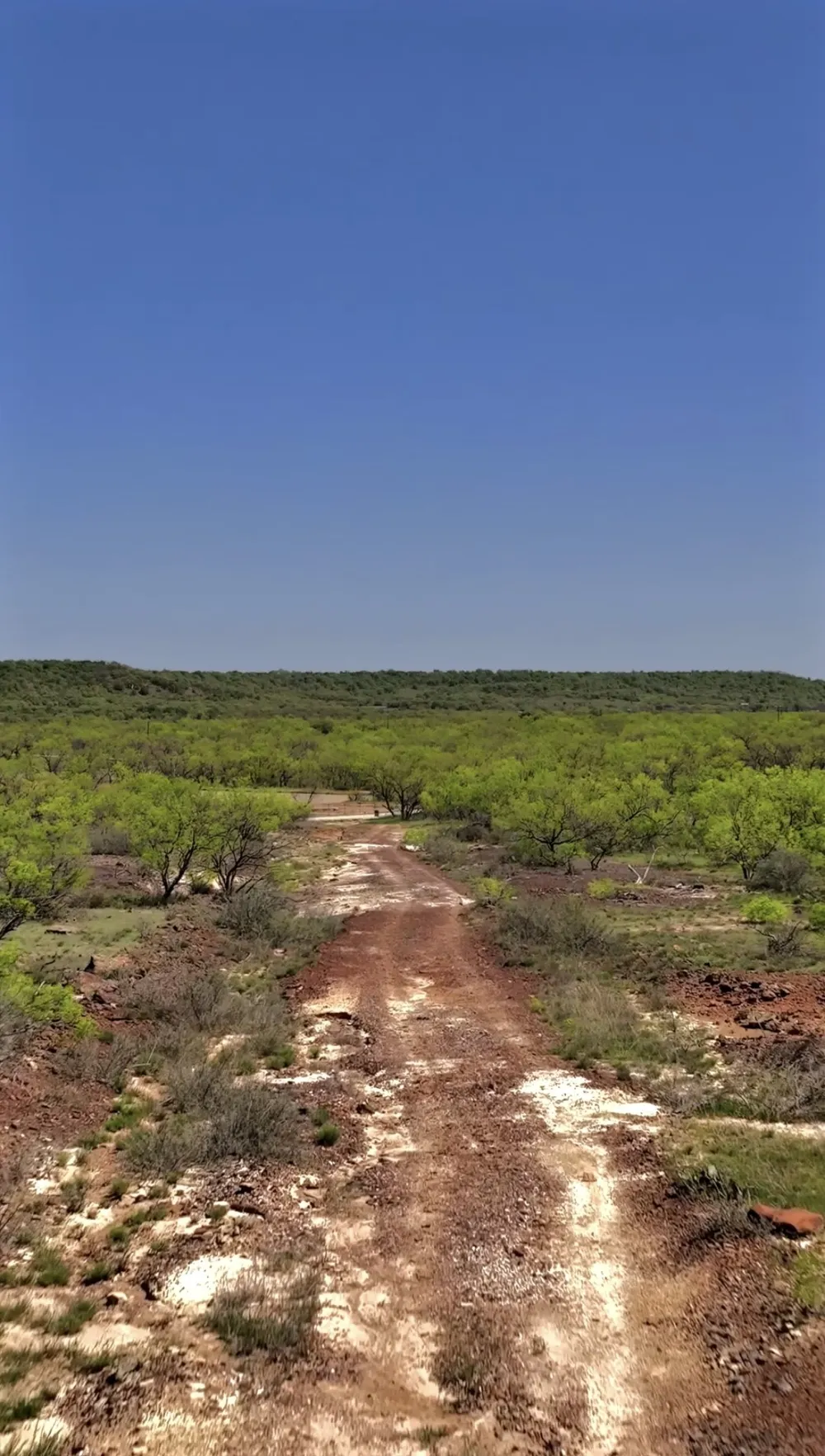 163 Campbell Lane Jacksboro, TX 76458