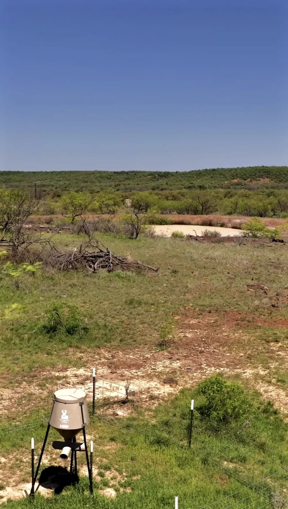 163 Campbell Lane Jacksboro, TX 76458