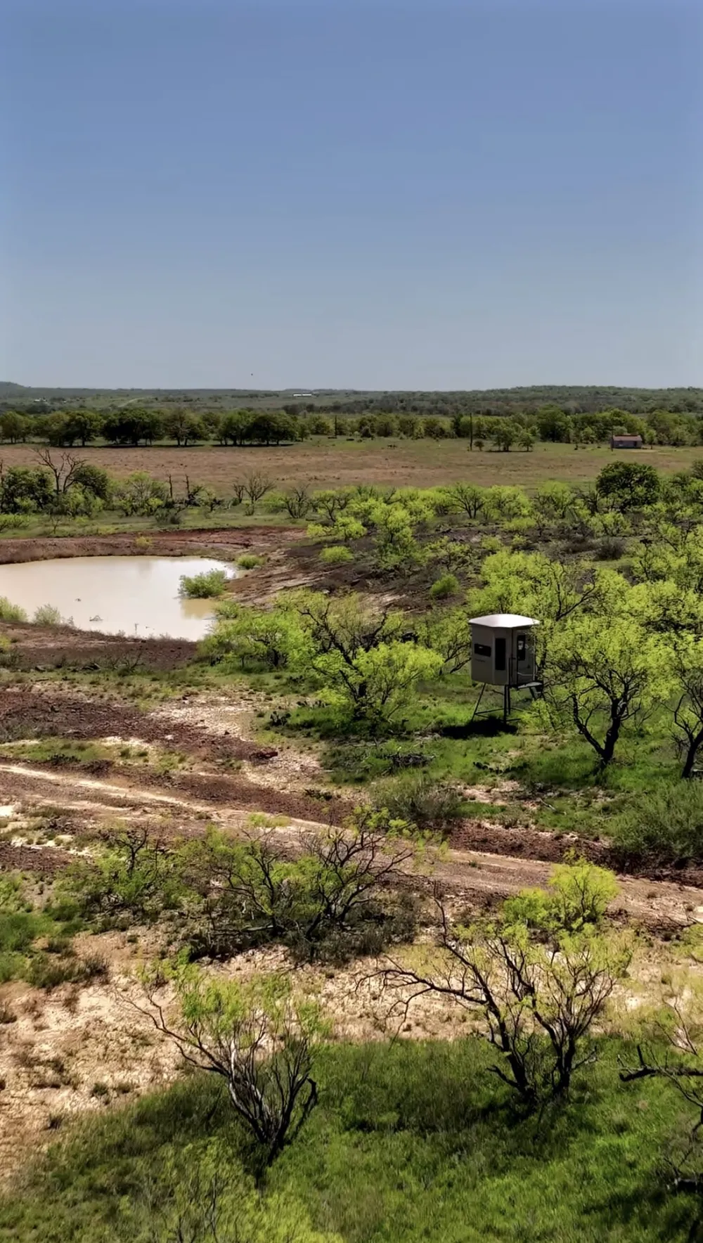 163 Campbell Lane Jacksboro, TX 76458