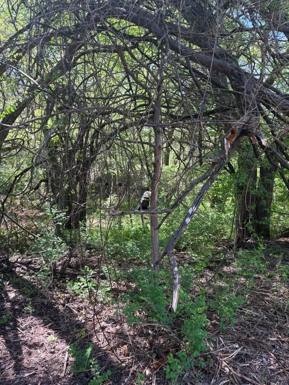 Rockport Road Sherman, TX 75092