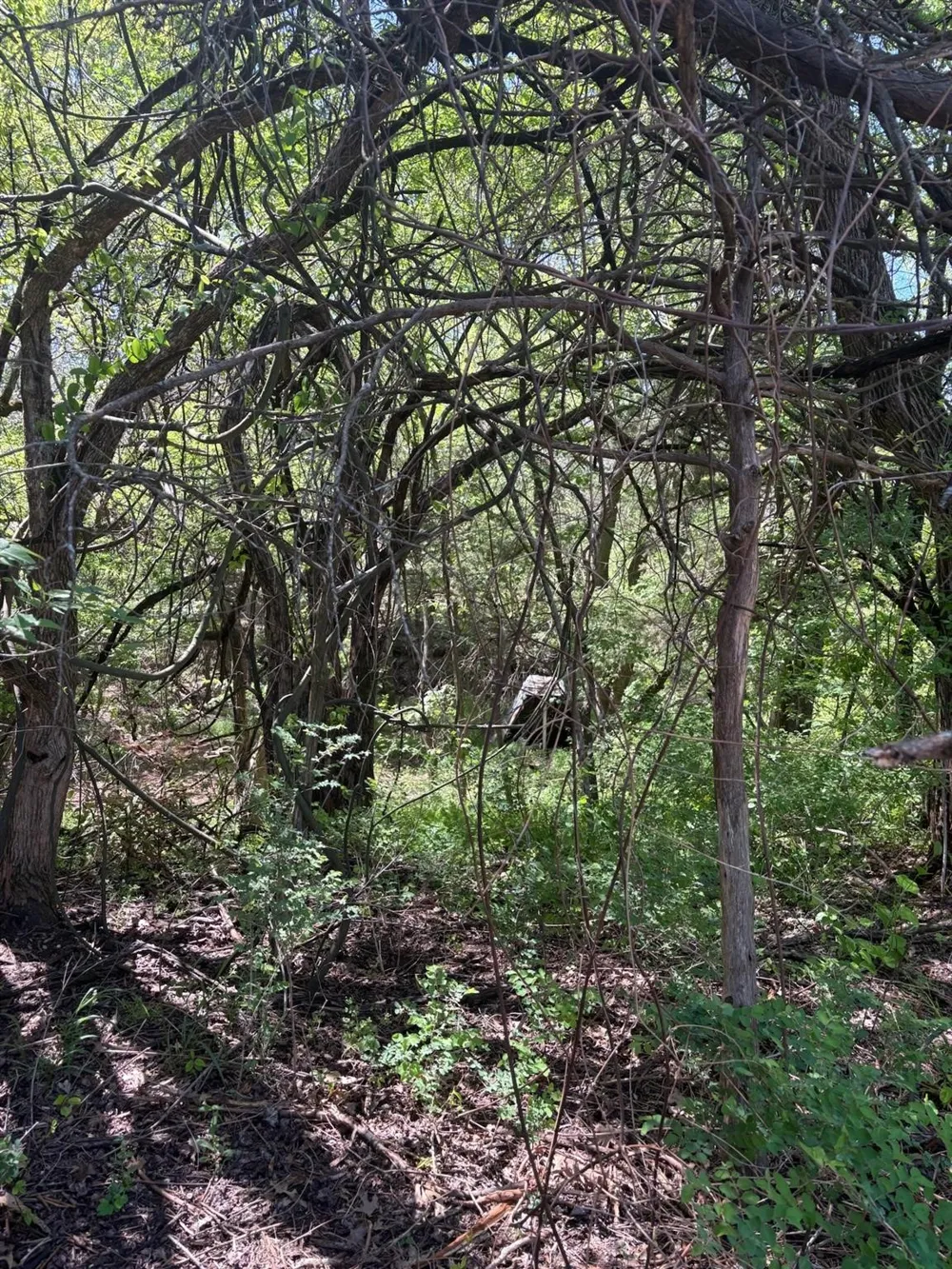 Rockport Road Sherman, TX 75092