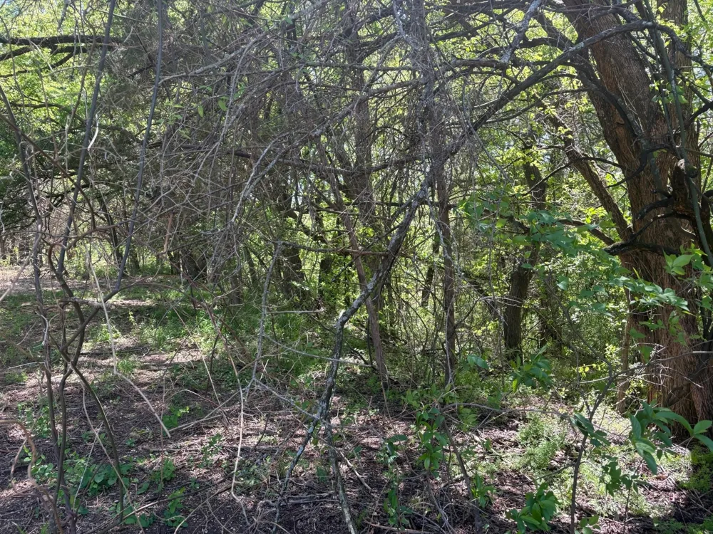 Rockport Road Sherman, TX 75092