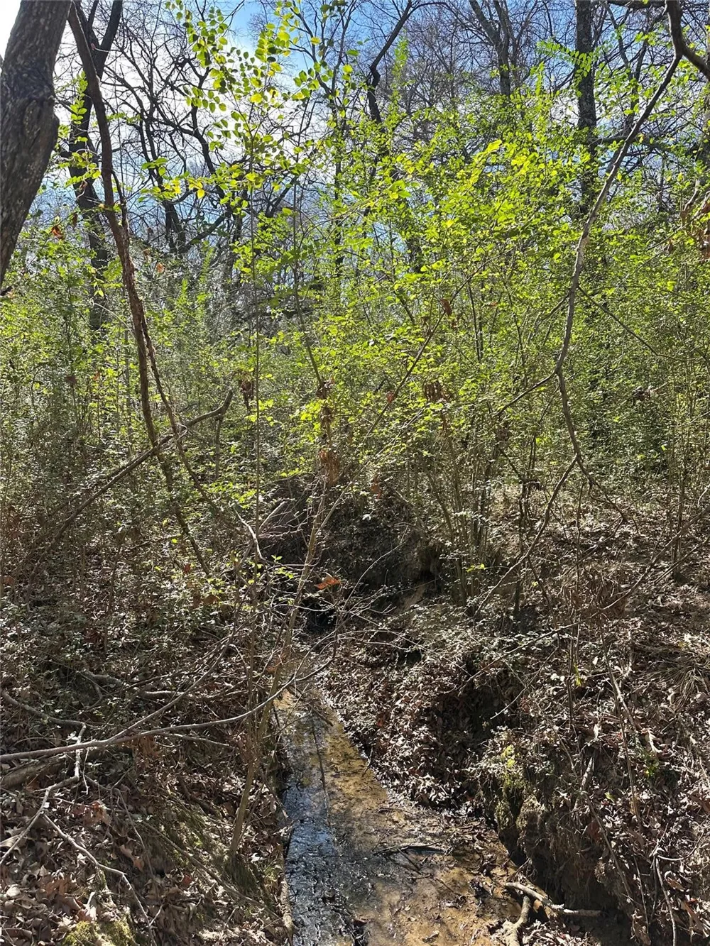 County Road 2324 Como, TX 75431