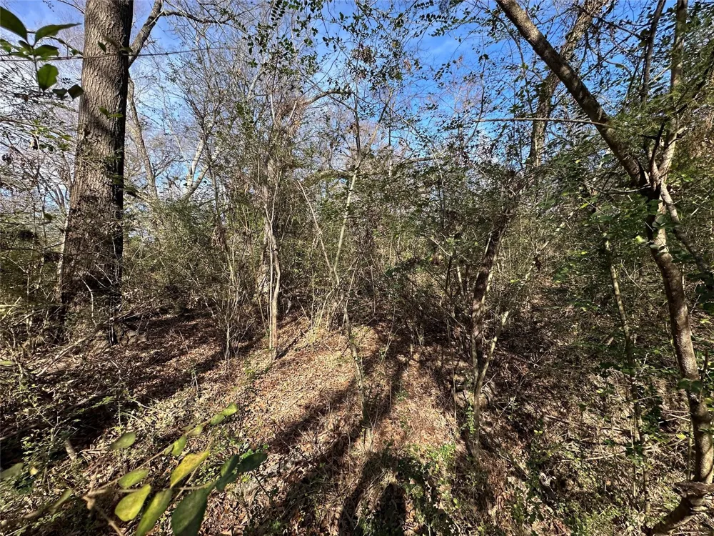 County Road 2324 Como, TX 75431