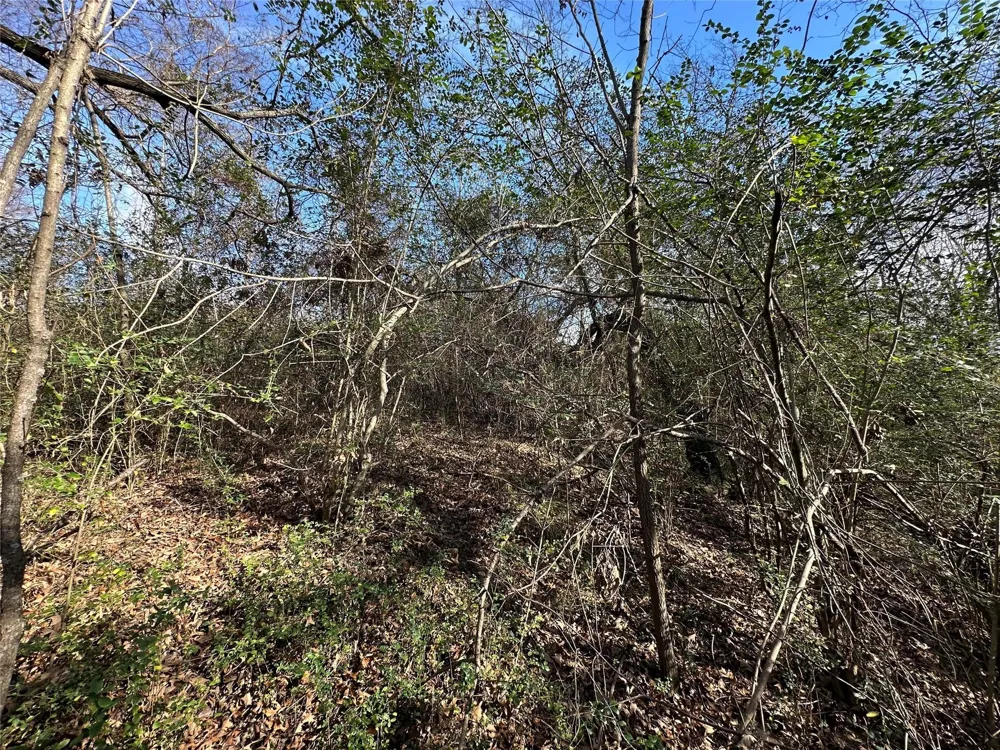 County Road 2324 Como, TX 75431