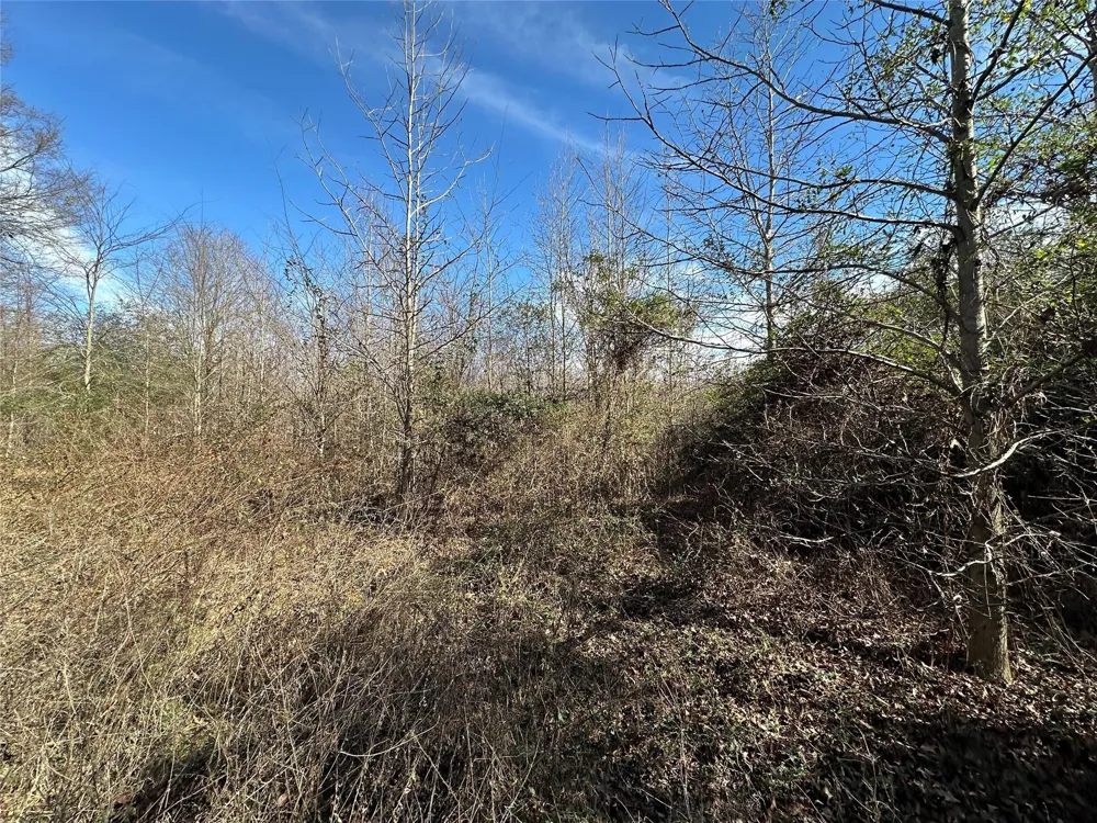 County Road 2324 Como, TX 75431