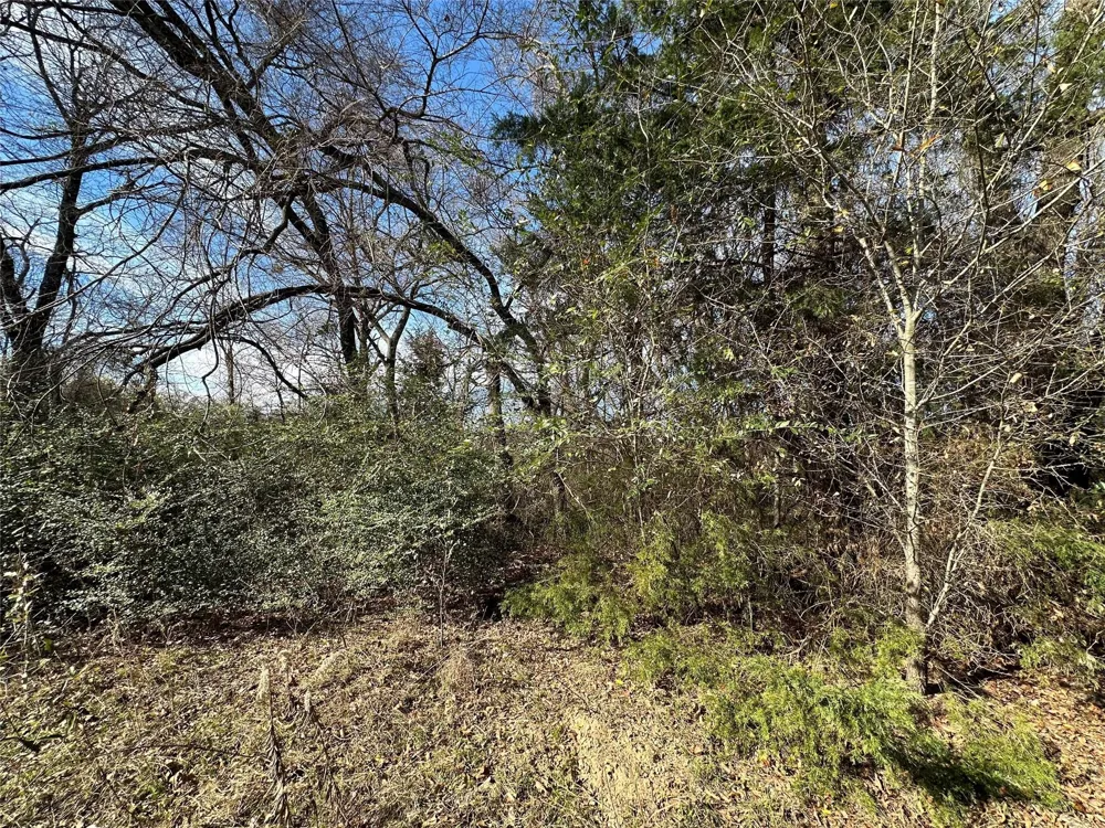 County Road 2324 Como, TX 75431