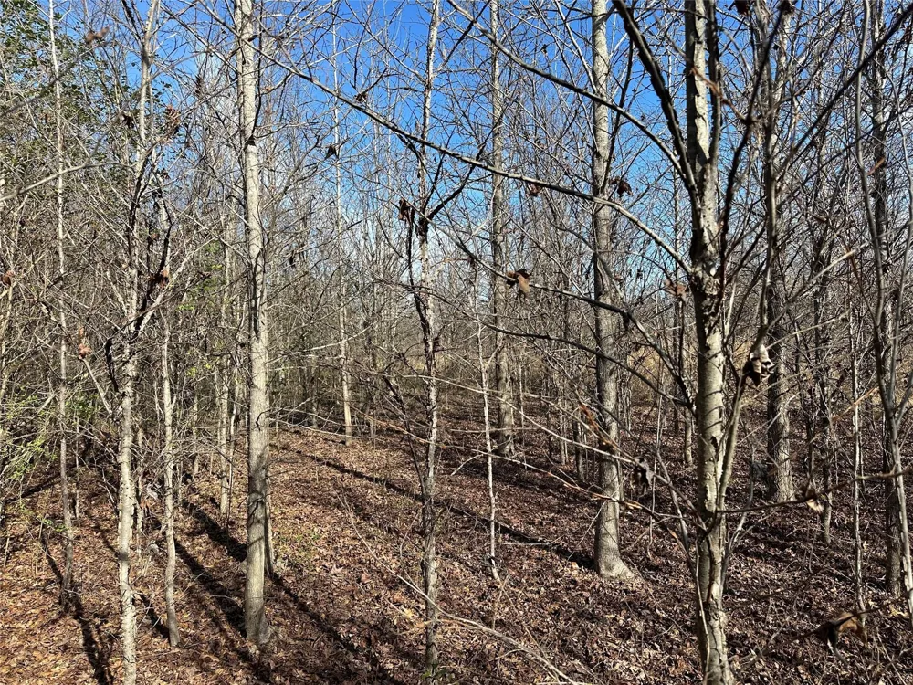 County Road 2324 Como, TX 75431