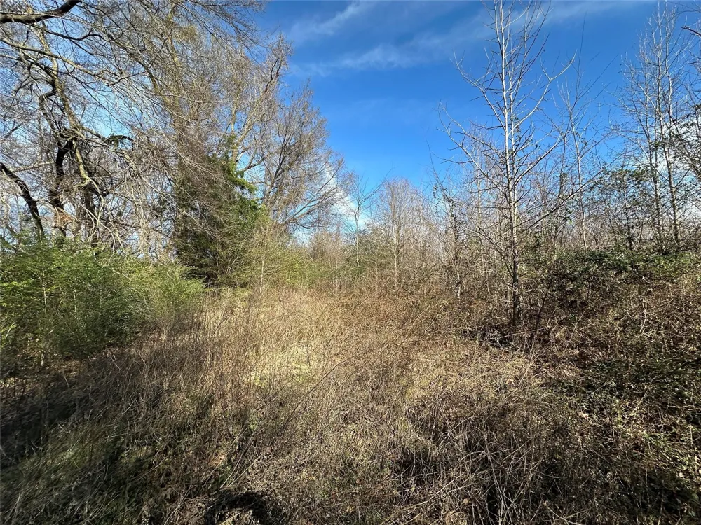 County Road 2324 Como, TX 75431
