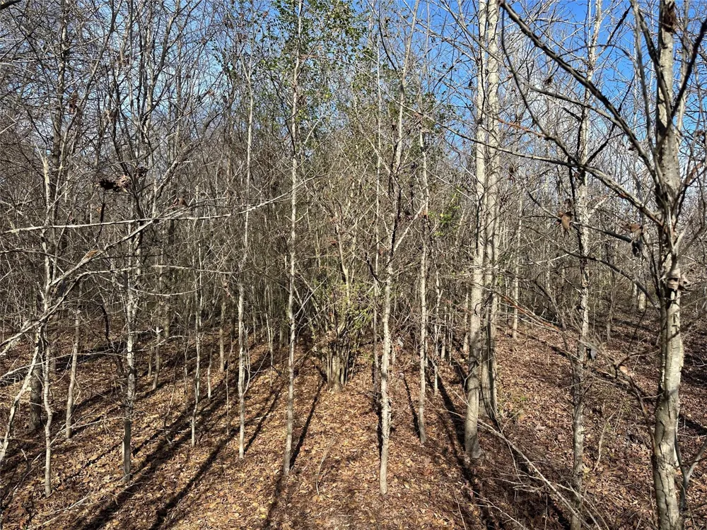 County Road 2324 Como, TX 75431