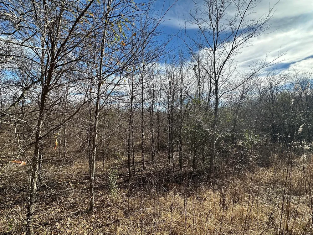 County Road 2324 Como, TX 75431