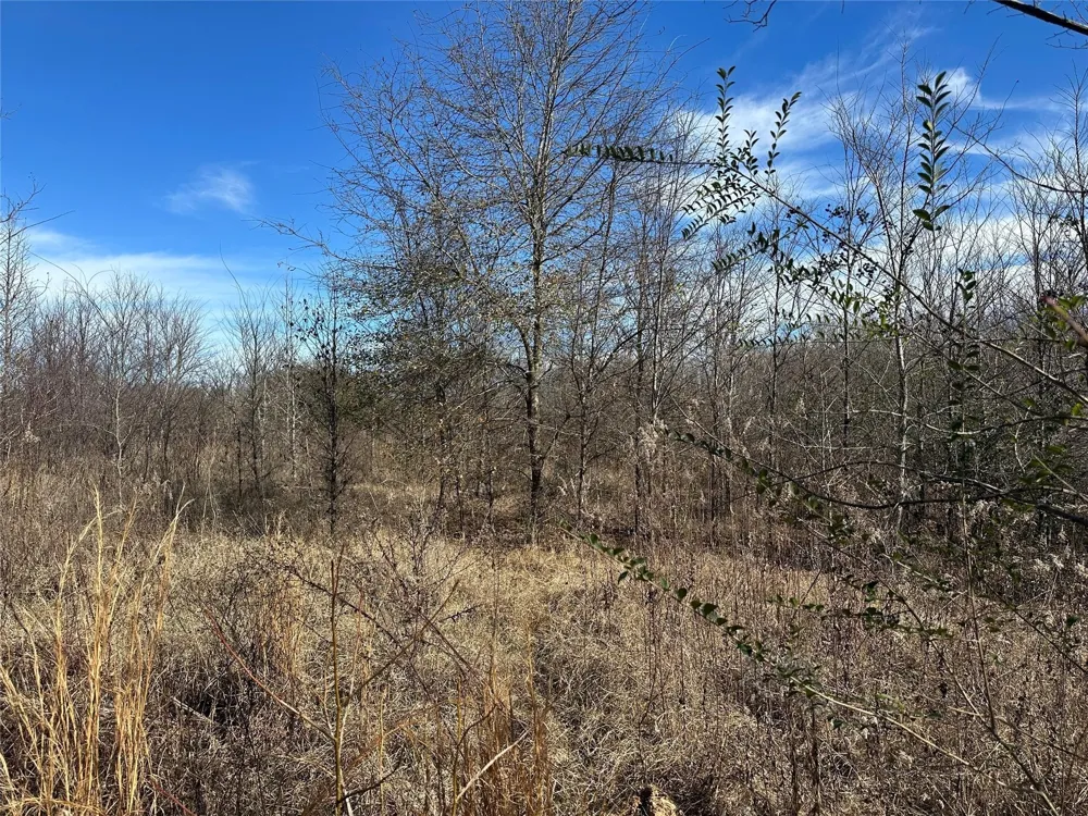 County Road 2324 Como, TX 75431