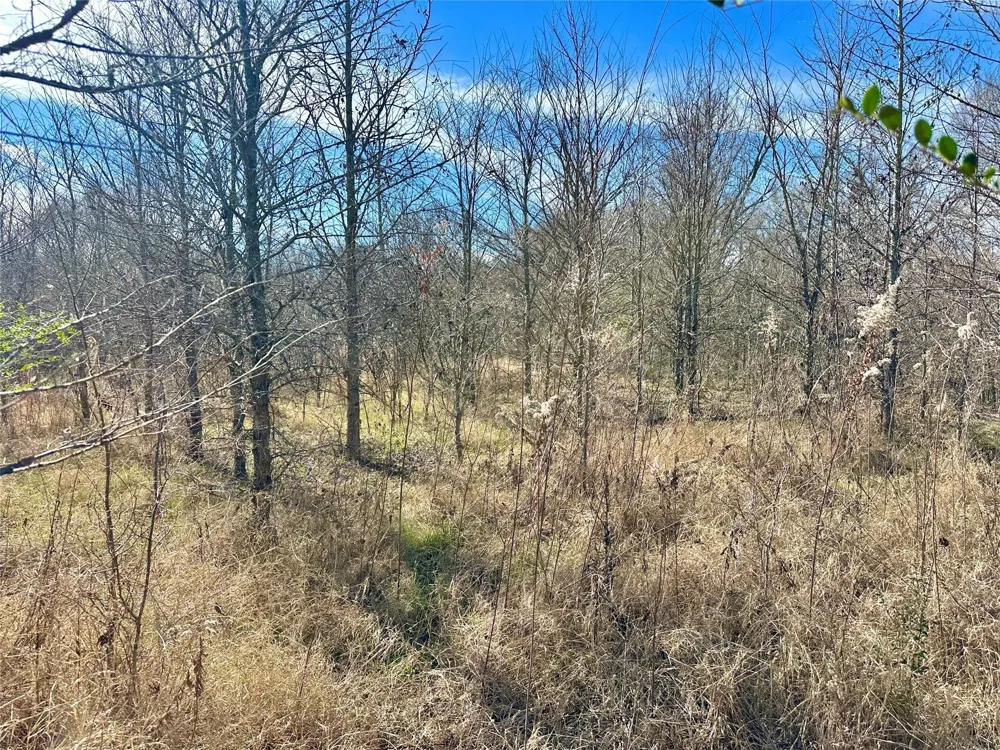 County Road 2324 Como, TX 75431