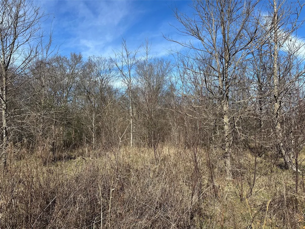 County Road 2324 Como, TX 75431