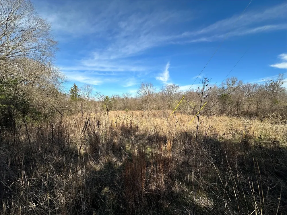 County Road 2324 Como, TX 75431