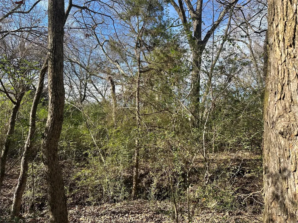 County Road 2324 Como, TX 75431