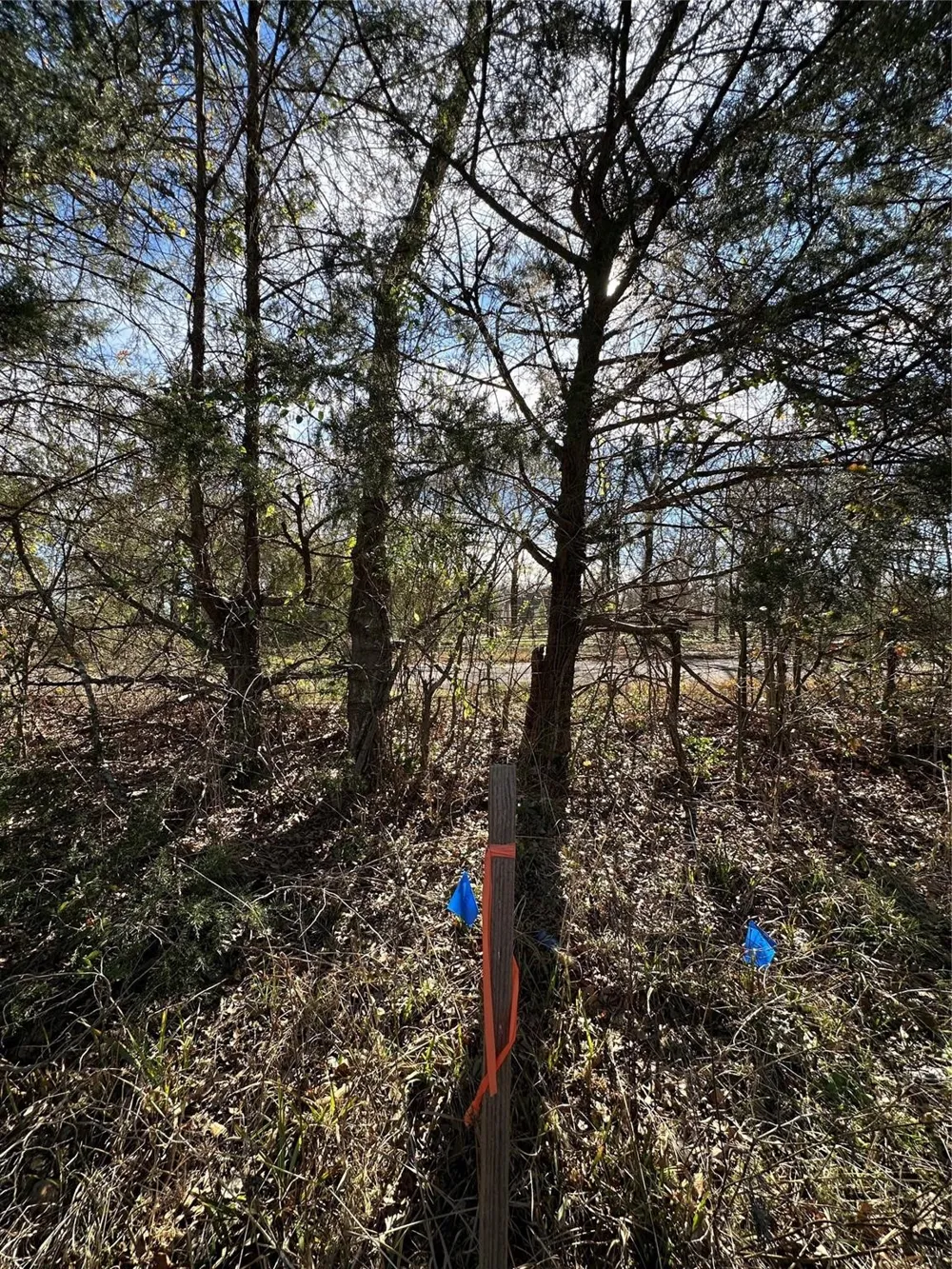 County Road 2324 Como, TX 75431