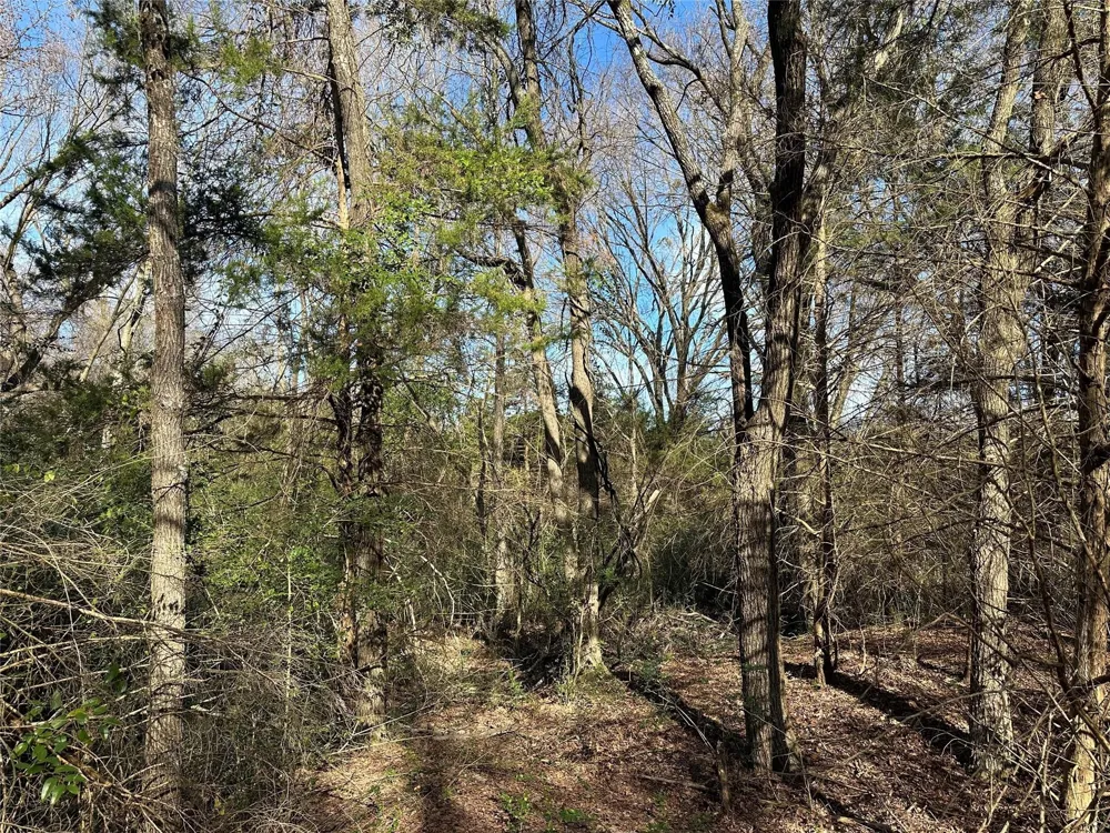 County Road 2324 Como, TX 75431