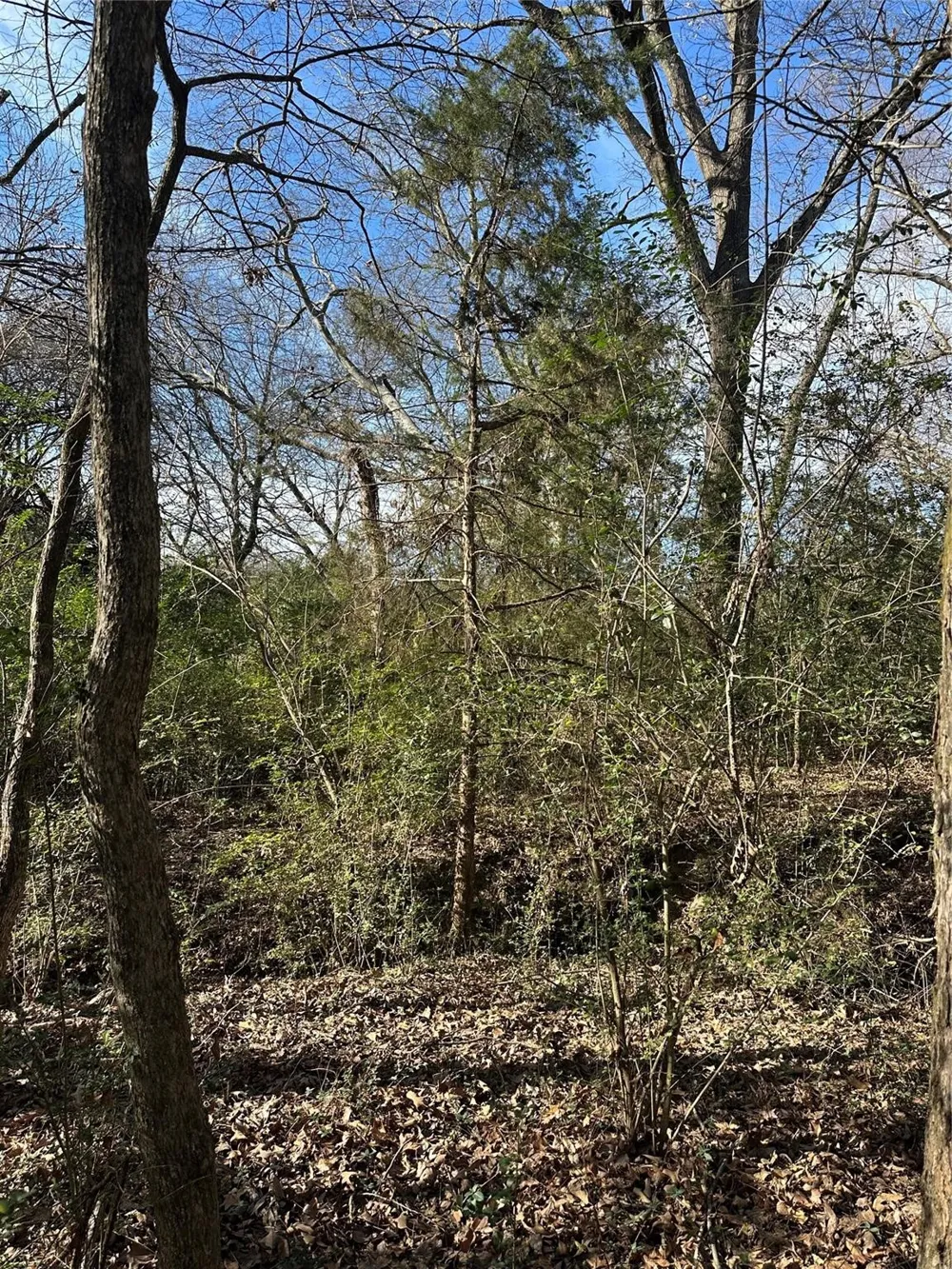 County Road 2324 Como, TX 75431