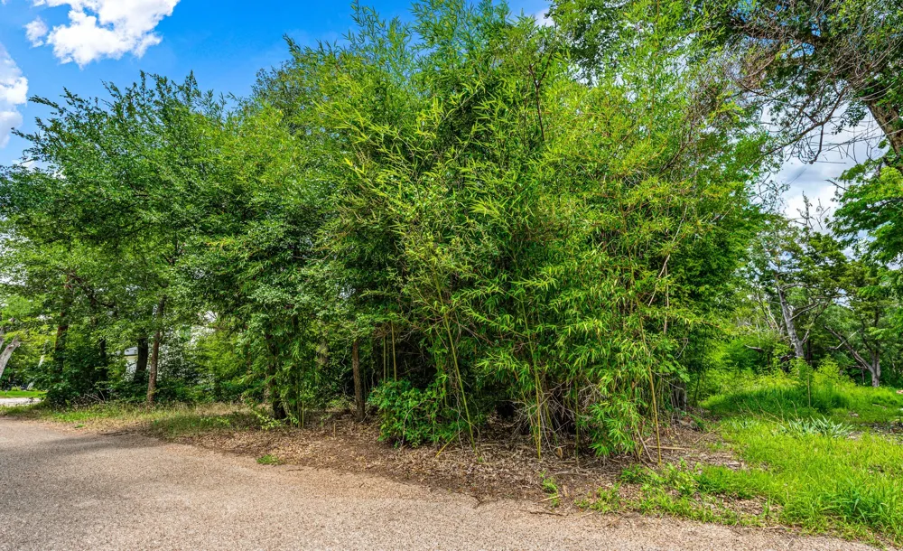 Rainbow Drive Woodway, TX 76712