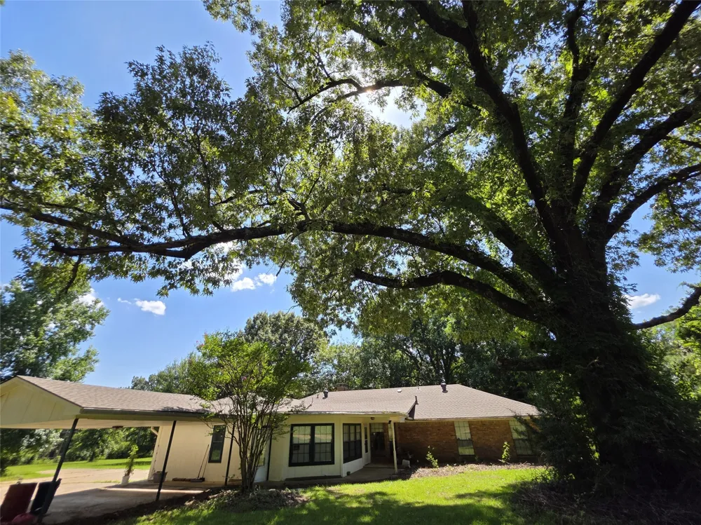 4221 Pine Wood Trail Larue, TX 75770