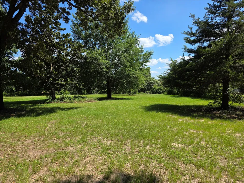 4221 Pine Wood Trail Larue, TX 75770