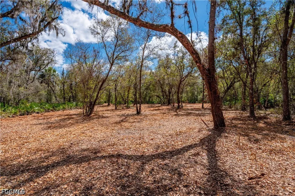 SE Hwy 31 Arcadia, FL 34266