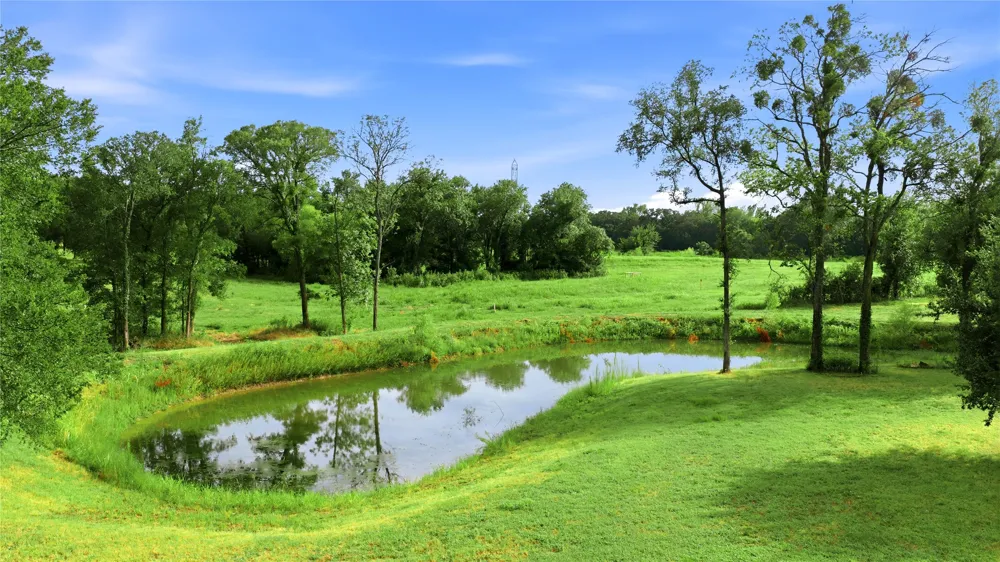 12044 Highway 14 Richland, TX 76681