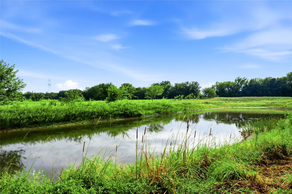 12044 Highway 14 Richland, TX 76681