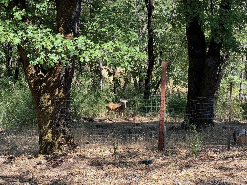 15305 Western Mine Road Middletown, CA 95461