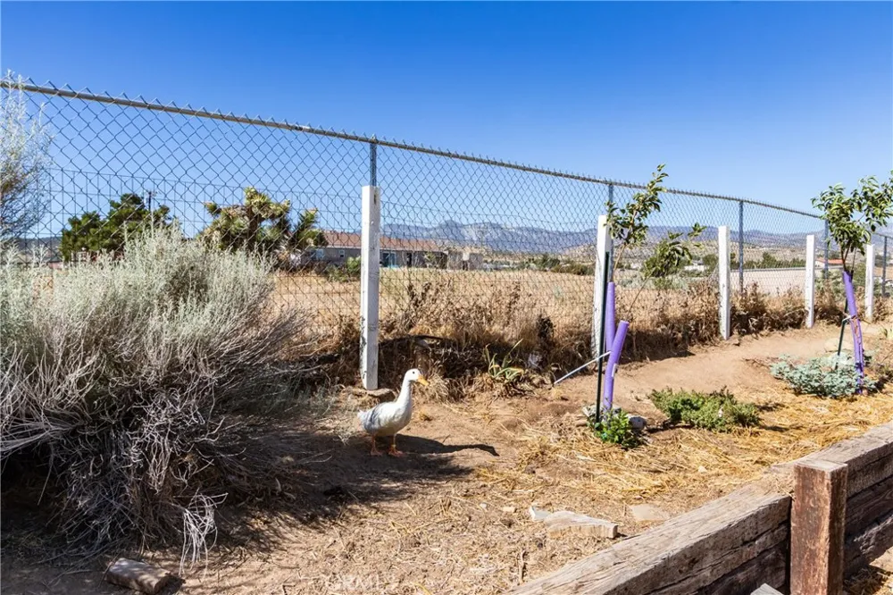 8650 Cowberry Road Phelan, CA 92371