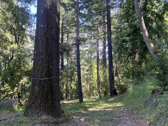19179 Skyline Boulevard Los Gatos, CA 95033
