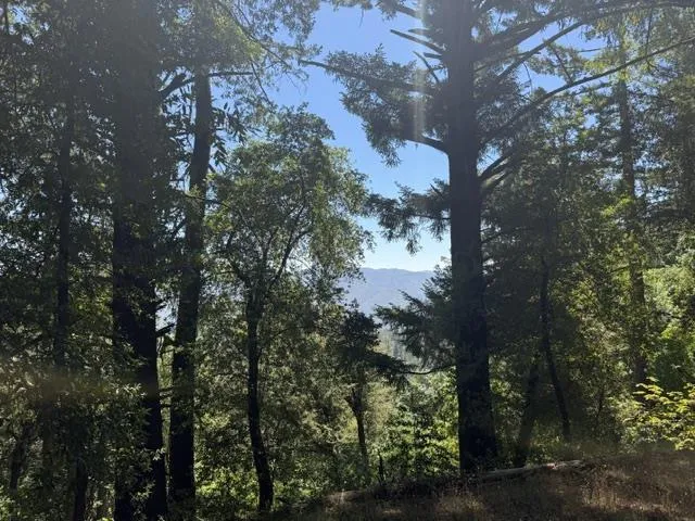 19179 Skyline Boulevard Los Gatos, CA 95033