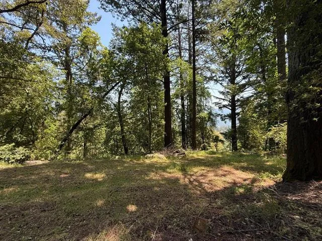 19179 Skyline Boulevard Los Gatos, CA 95033