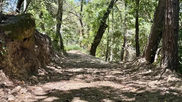 19179 Skyline Boulevard Los Gatos, CA 95033