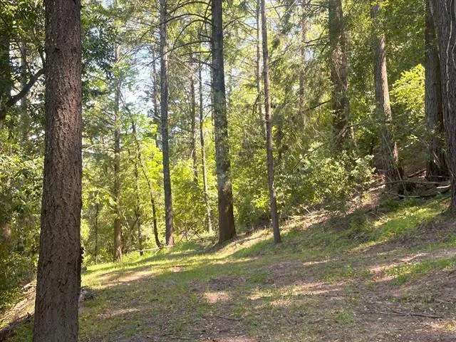 19179 Skyline Boulevard Los Gatos, CA 95033
