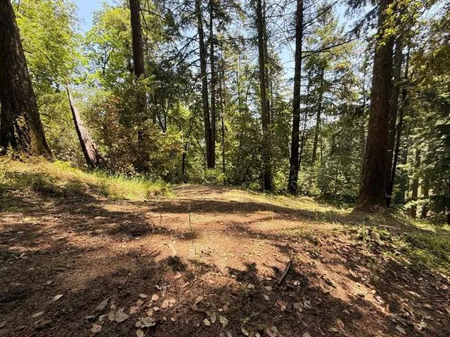 19179 Skyline Boulevard Los Gatos, CA 95033