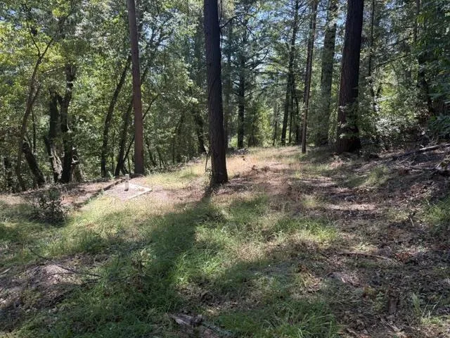 19179 Skyline Boulevard Los Gatos, CA 95033