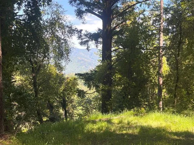 19179 Skyline Boulevard Los Gatos, CA 95033