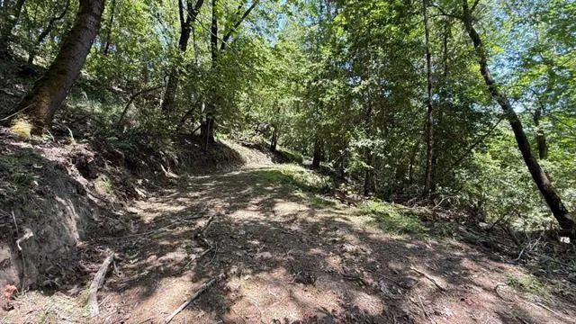19179 Skyline Boulevard Los Gatos, CA 95033