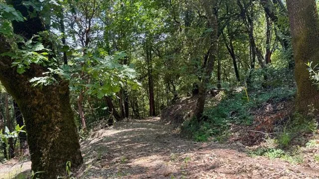 19179 Skyline Boulevard Los Gatos, CA 95033