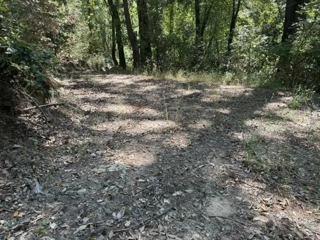 19179 Skyline Boulevard Los Gatos, CA 95033