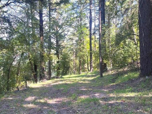 19179 Skyline Boulevard Los Gatos, CA 95033