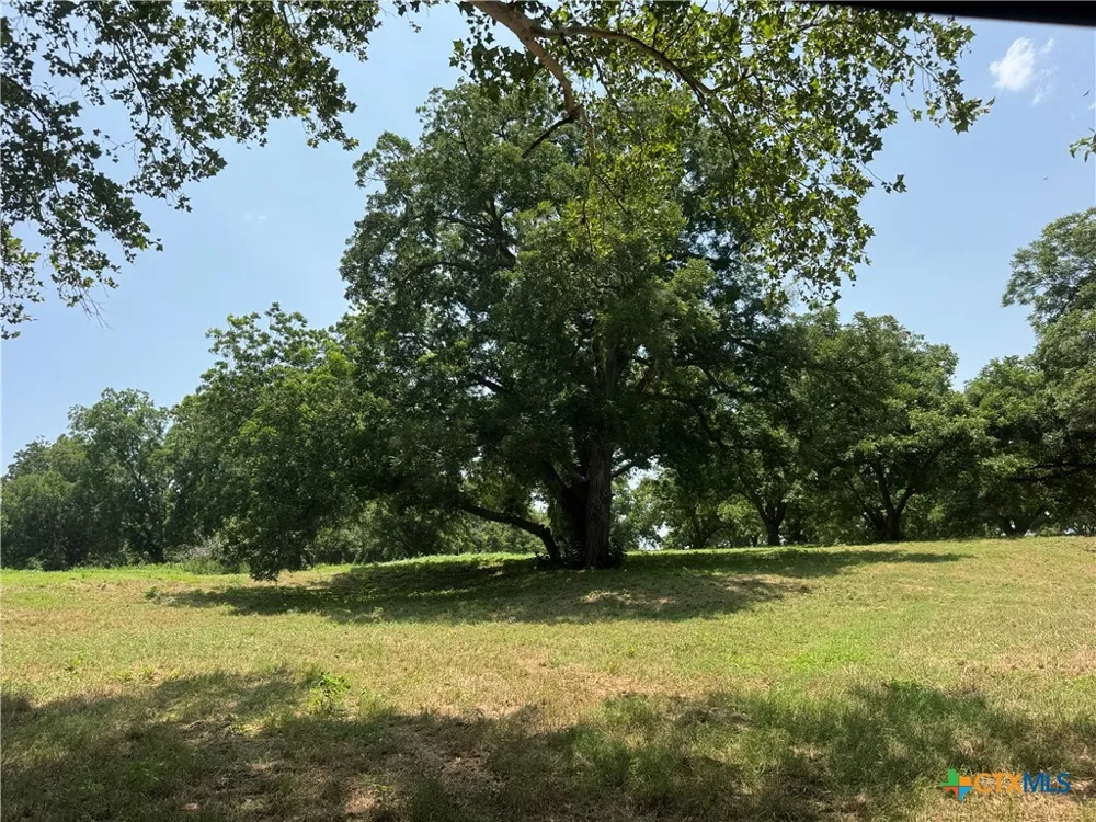 B And B Seguin, TX 78155
