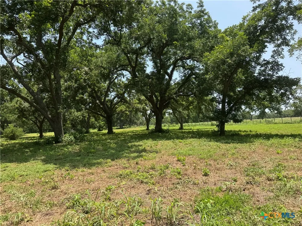 B And B Seguin, TX 78155