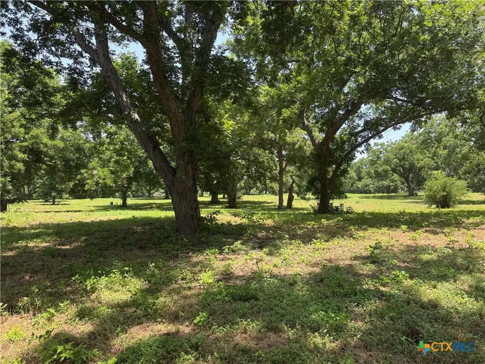 B And B Seguin, TX 78155